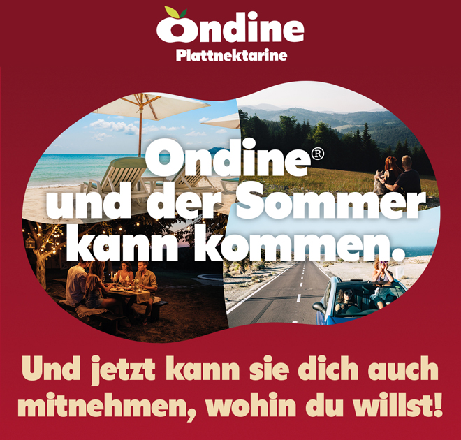 2618/promo/NJXJReHnSRw8BiJAvXV8.jpg